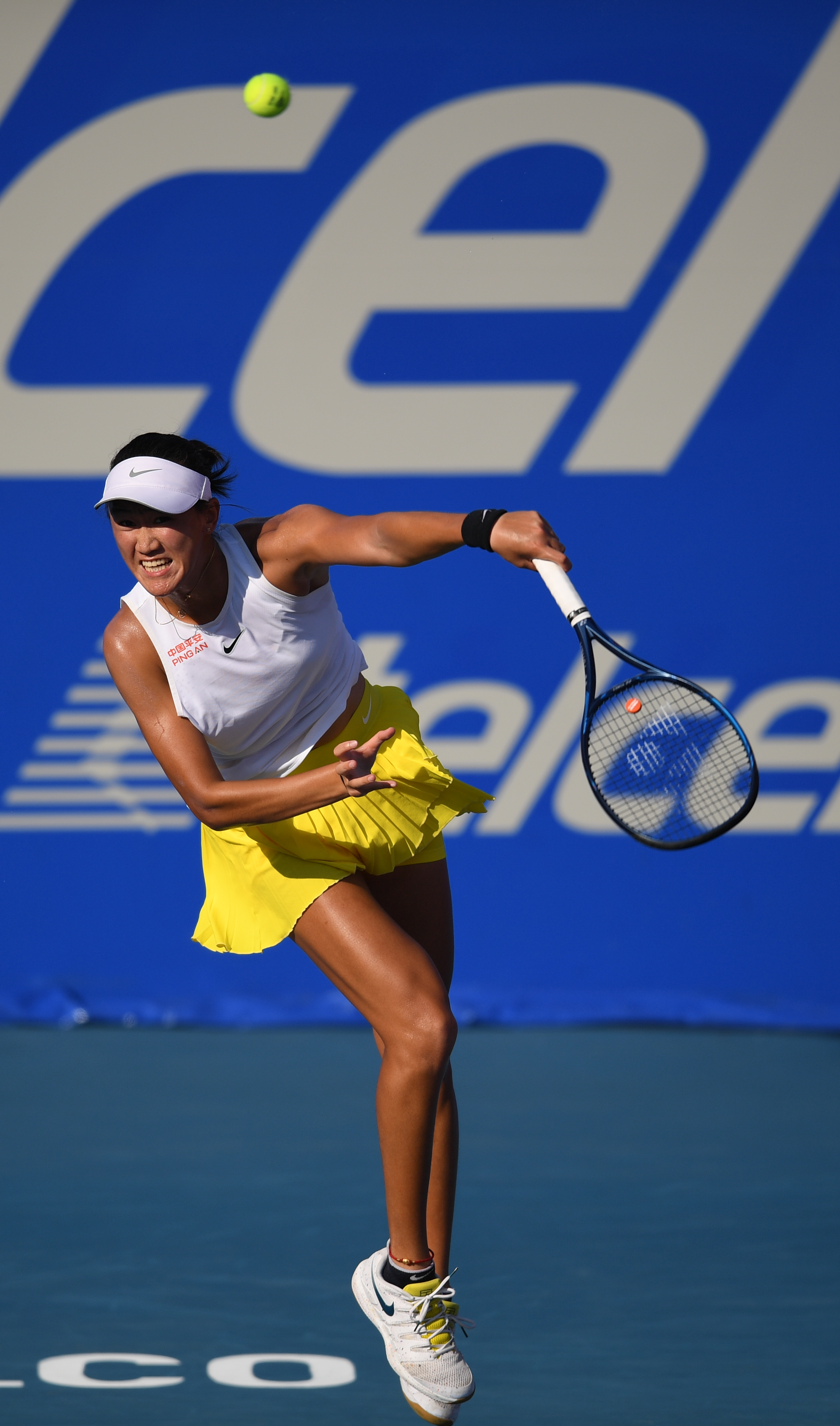 迷们带来了 迷们带来了